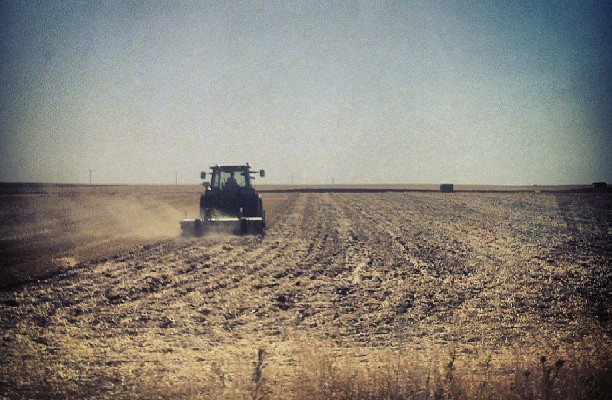 Campos de Castilla #tierras #trigo #cebada #verano #sol #sun – Instagram