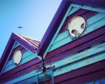 Edificios que sonríen a los pájaros #edificiosquecobranvida #caseta #playa #hondartza #beach #LaArena #Muskiz #AbantoZierbena #cielo #pájaro #sky #hegaztia #arkitektura #architecture #sonrisa #irrifartsu #begirada #eraikuntza – Instagram