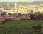 #Caballo con #GranBilbao de fondo #kobetas #kobetamendi #Bilbo #Hiria #mendia #zaldia #igerseuskadi #igersbizkaia #igerseuskalherria – Instagram