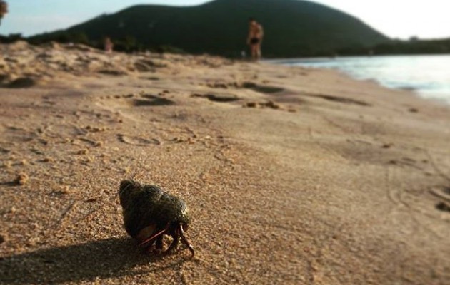 #Ocupando y con la #casa a cuestas#ermitaño #PlayaJoyel #playa  #Noja #Cantabria #arena @instagram #okupa – Instagram