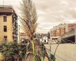 #Plantasinvasoras en plena #ciudad #Barakaldo #naturarenindarra #estacionrenfe #tren #BarakaldoBilbao @igerseuskadi @igersbilbao @instagram – Instagram