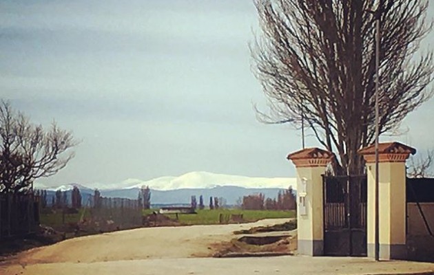 #Gredos con manto #blanco desde #LaMoraña #camposdecastilla #camino #mamblas @igers @instagrames @avilaautentica – Instagram